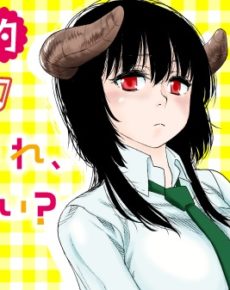 Mino-san no Sore, Sawattemo Ii?
