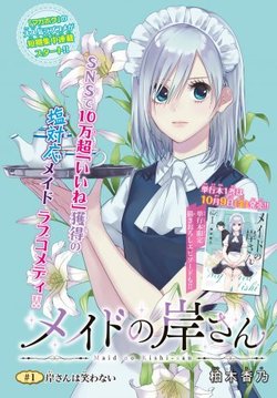 Maid no Kishi-san