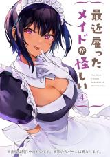 My Recently Hired Maid Is Suspicious (Serialization)